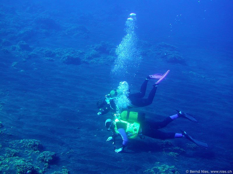 The Threatened Net: