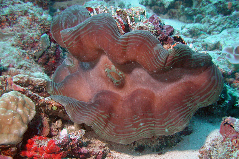 dscn2581.jpg