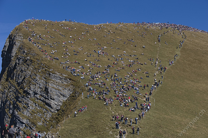 image2009-d3-3046.jpg