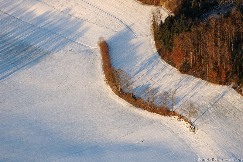 Winter Landscape 3