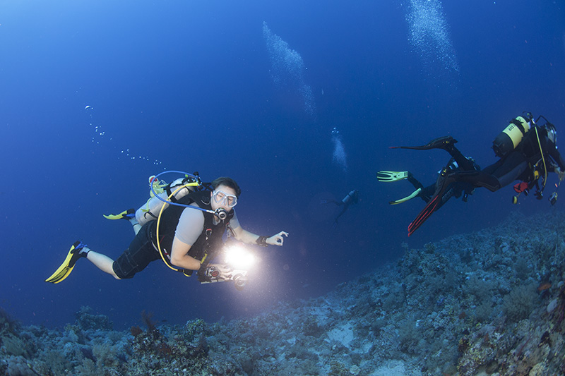 Diver with Strobe