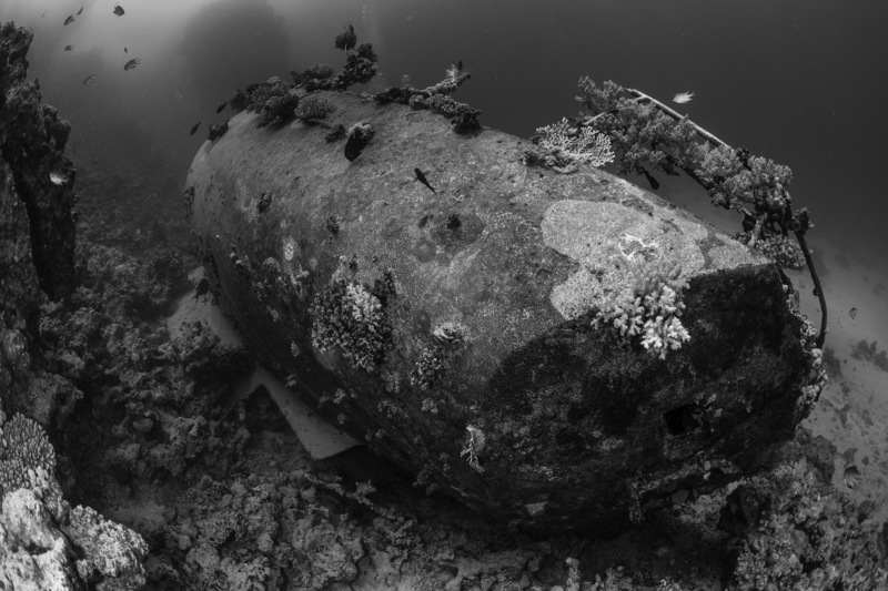 Shipwreck Stern