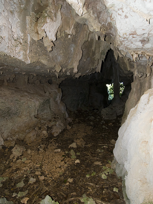 Höhle auf Mangaia