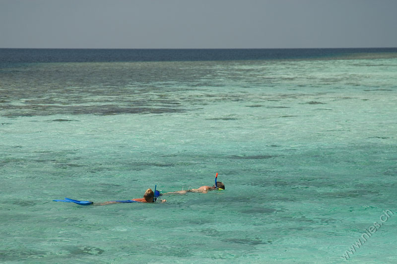 Snorkelers at Lily Beach