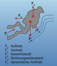 Taucher Trim Stroemung