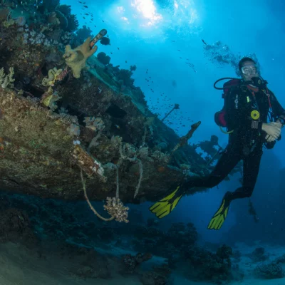 Diver with Wreck