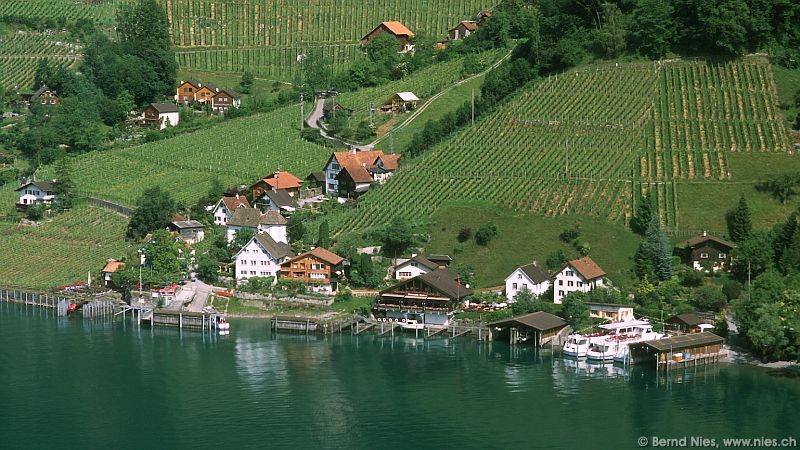 Quinten at Lake Walen