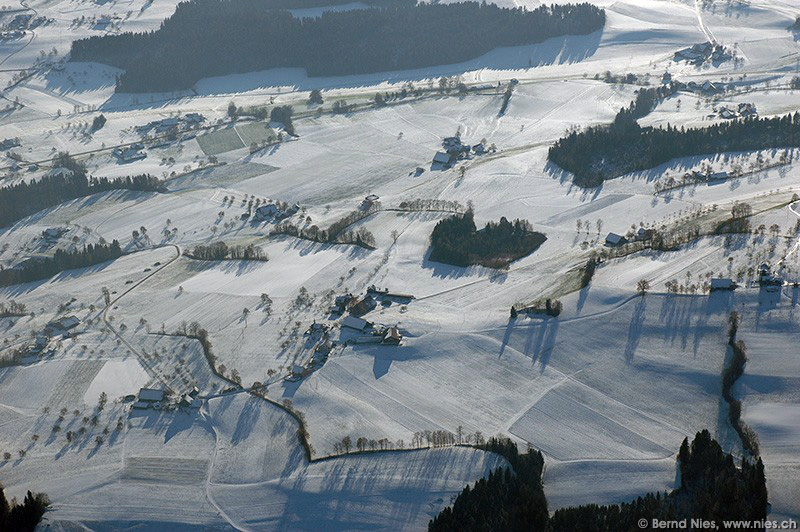 Winter Landscape