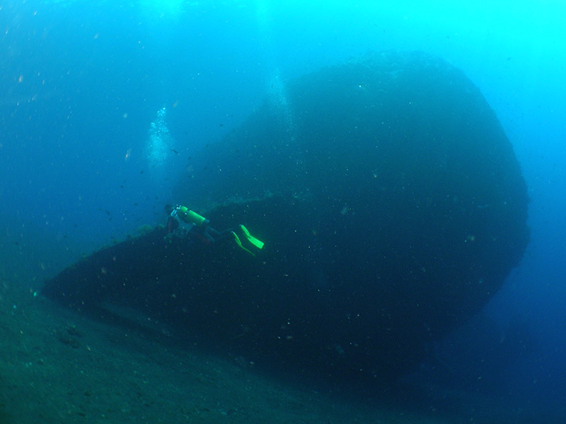 Wreck of Liberty