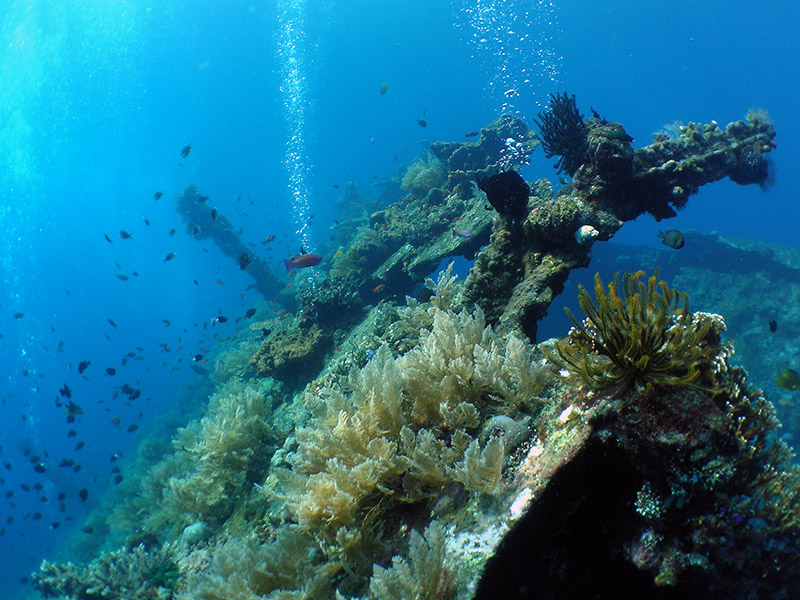 Schiffswrack bei Tulamben) Was aussieht wie ein Unterwasser-Vulkan sind die Taucher unterm Schiffswrack bei Tulamben -- Nikon Coolpix 5400 mit Subtronic Mini Blitz, Tulamben, Bali, Indonesien, 27. März 2005