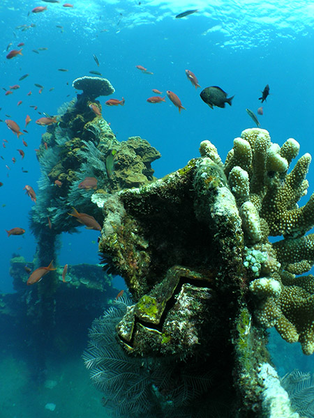 Wreck of Liberty, Tulamben