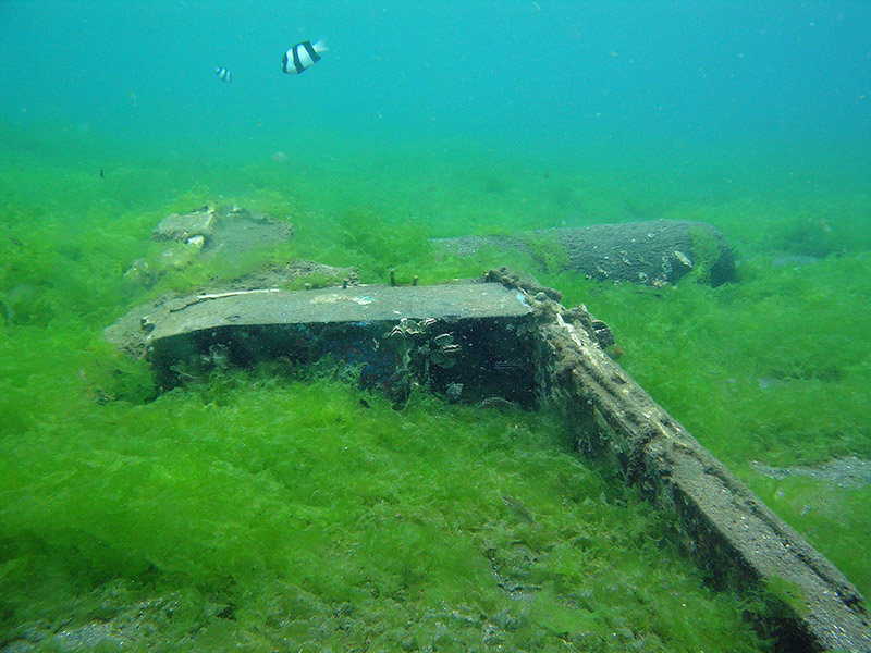 Underwater scene