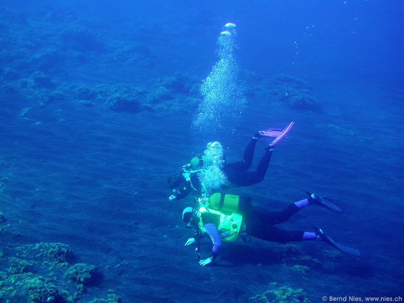 Marine Biologists