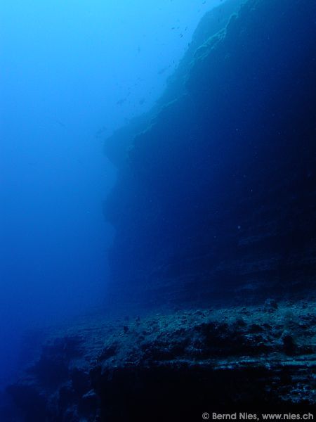 Underwater Landscape