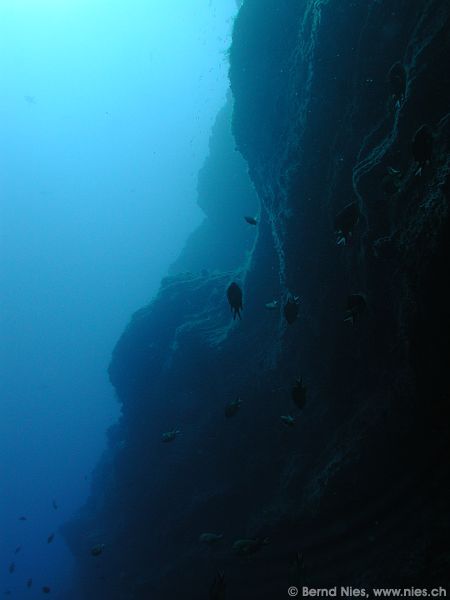 Underwater Landscape