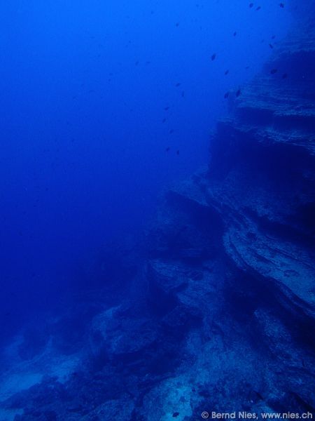 Underwater Landscape