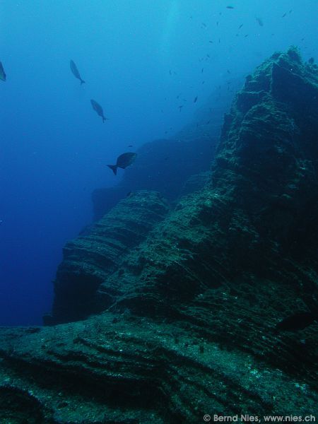 Underwater Landscape