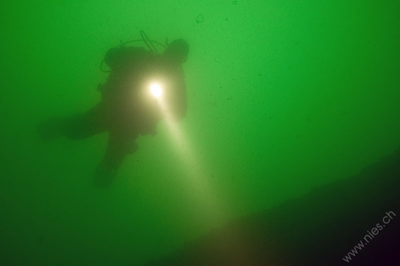 Diver with light