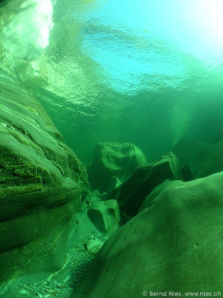 Underwater landscape