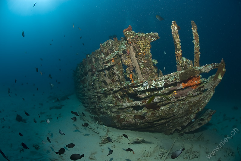 Ship Wreck