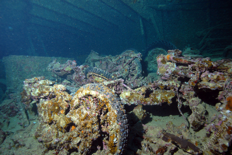 Wreck SS Thistlegorm