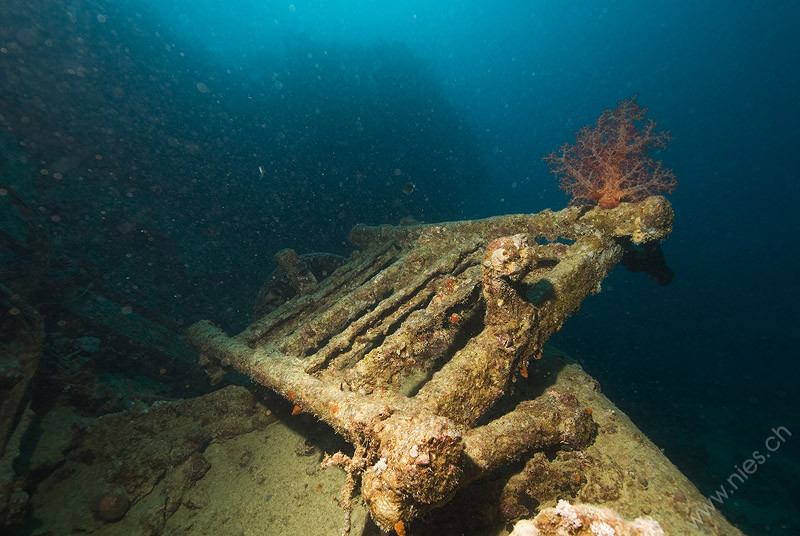 Cart in Thistlegorm