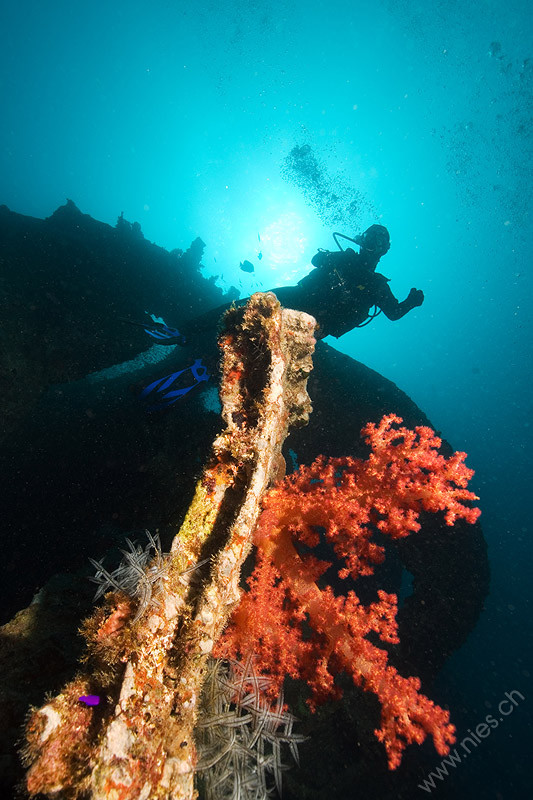 Diver and Thistlegorm