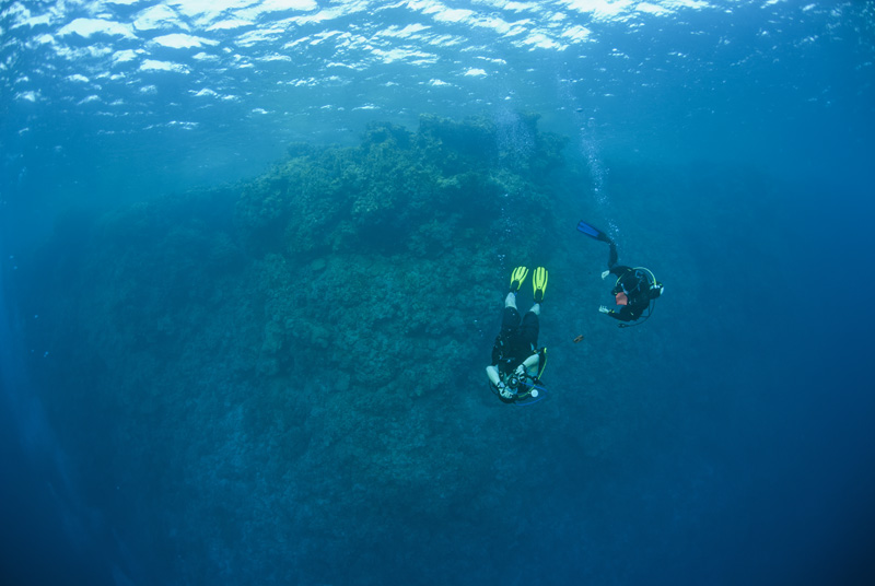 Divers on Wall