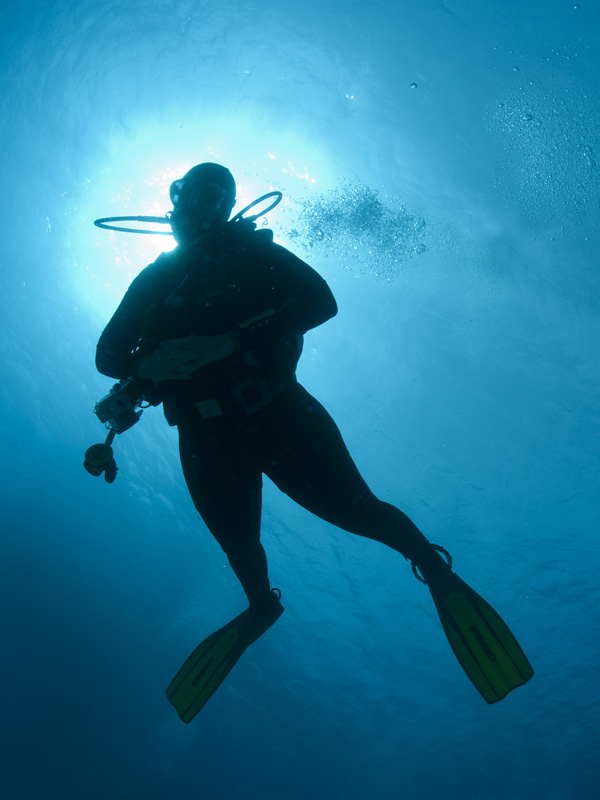 Diver Silhouette