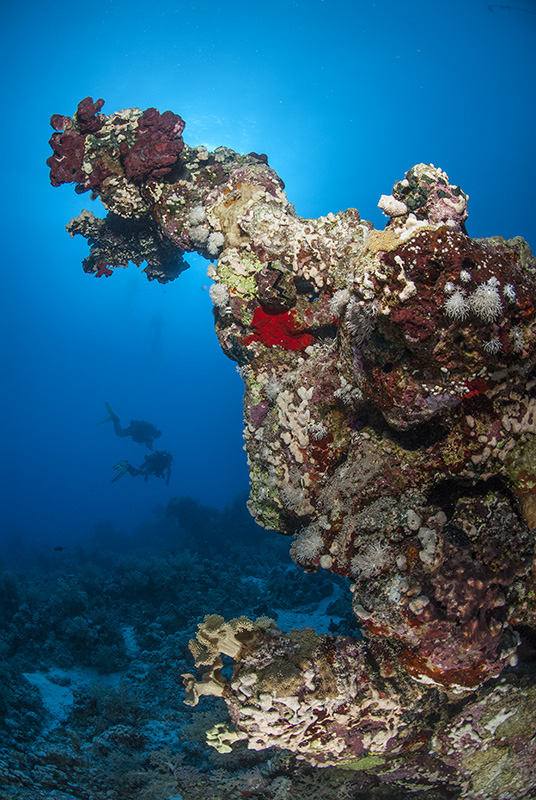 Korallenblock mit Tauchern