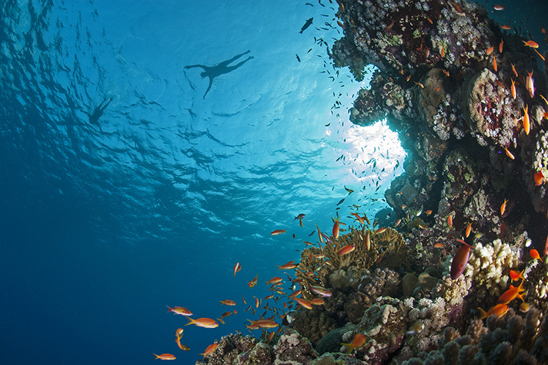 Snorkeling