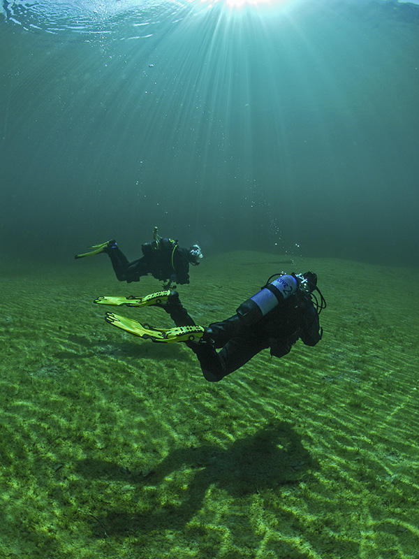 Two Divers