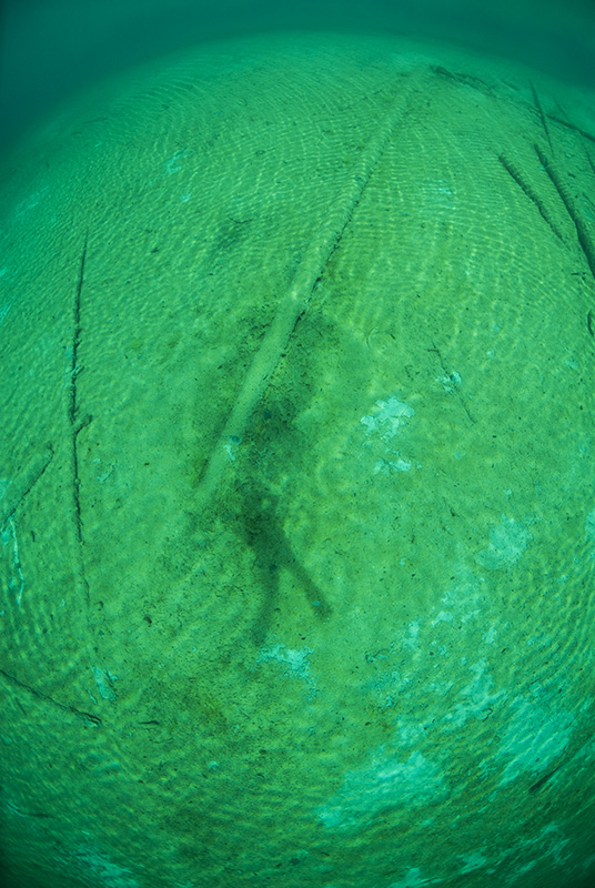 Diver with Halo