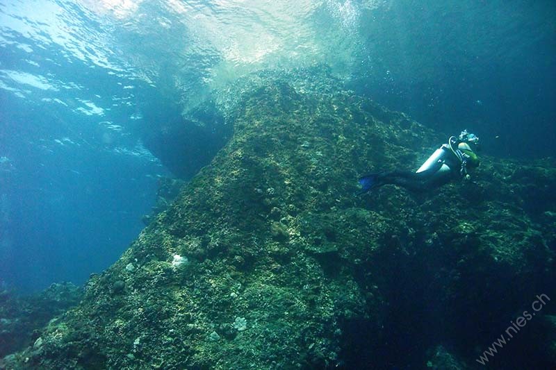 Underwater landscape