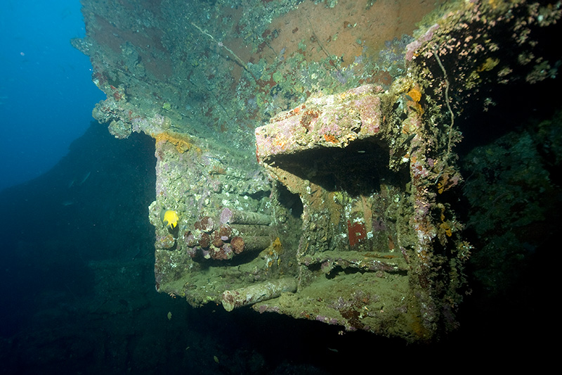 SS President Coolidge Gun