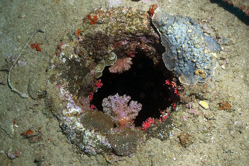 SS President Coolidge Porthole