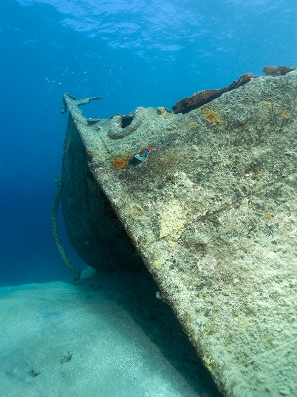 Shipwreck Bow