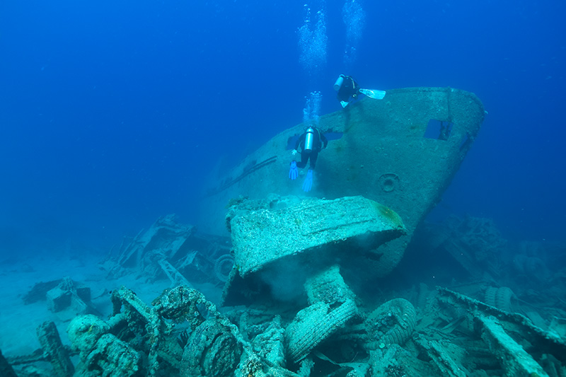 Shipwreck Bow