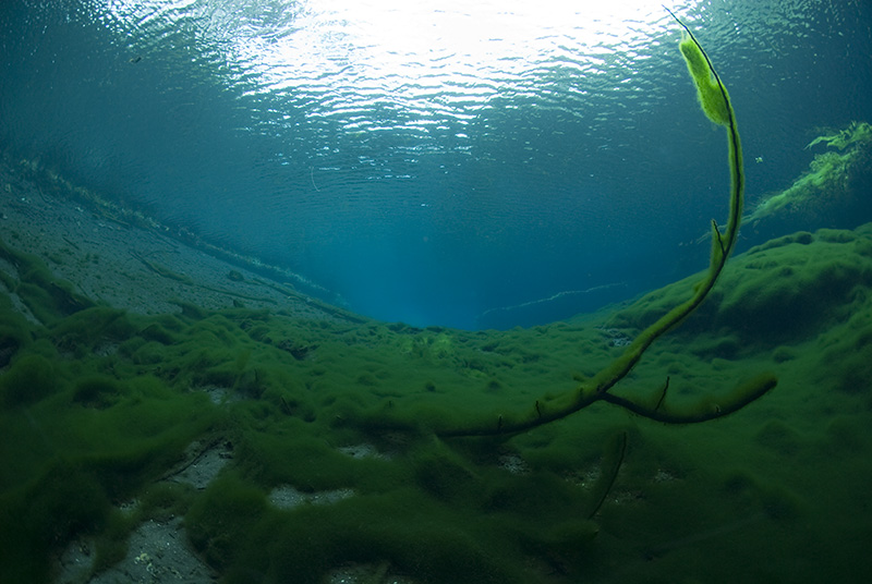 Saki Blue Hole