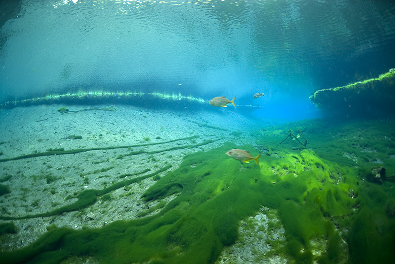 Saki Blue Hole