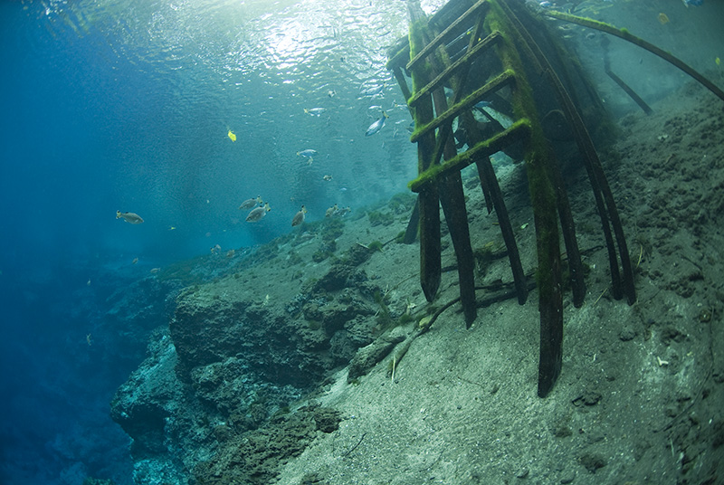 Saki Blue Hole