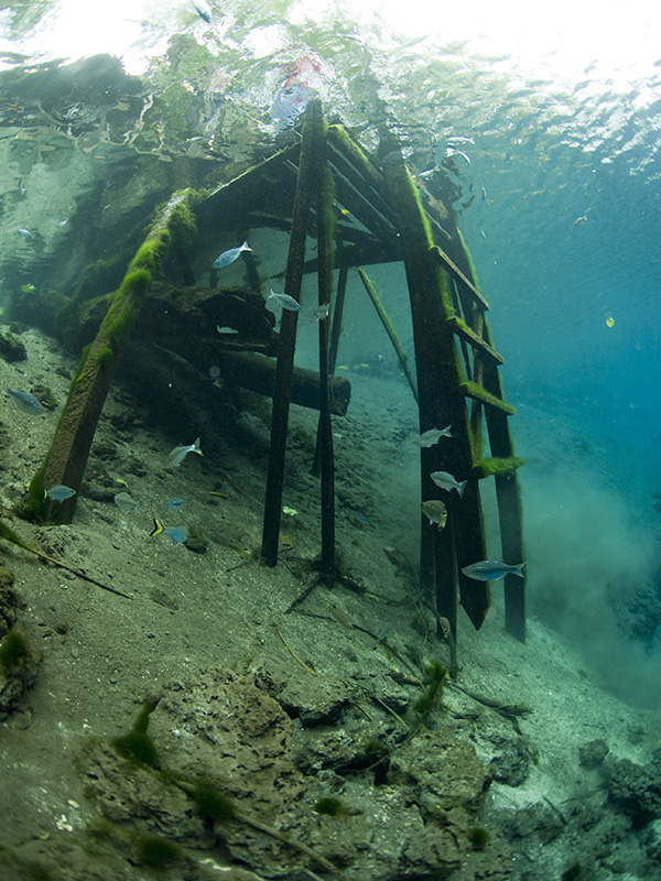 Saki Blue Hole