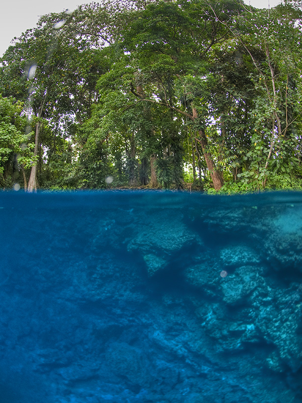 Saki Blue Hole