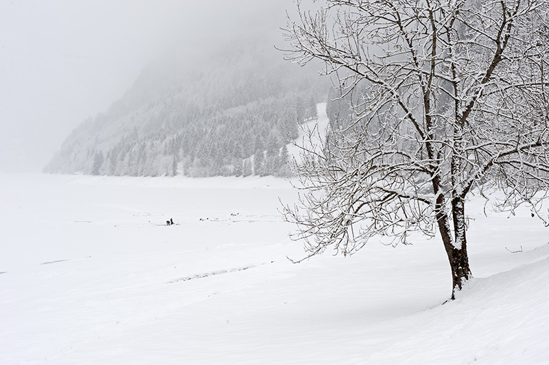 Winter Landscape