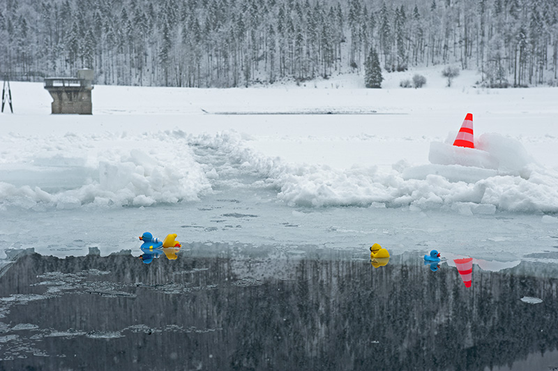 Rubberducks on Ice