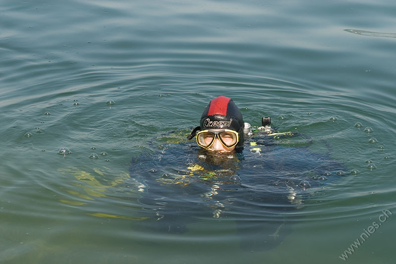 Taucher guckt aus dem Wasser