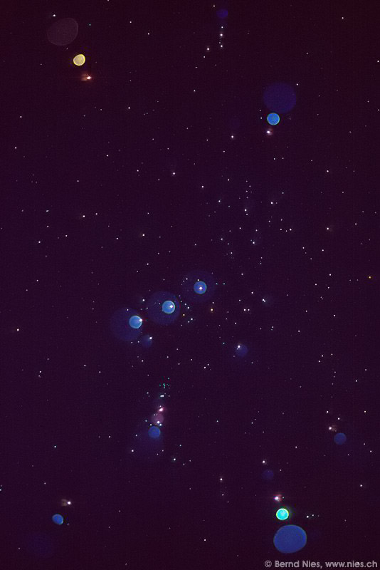 Orion