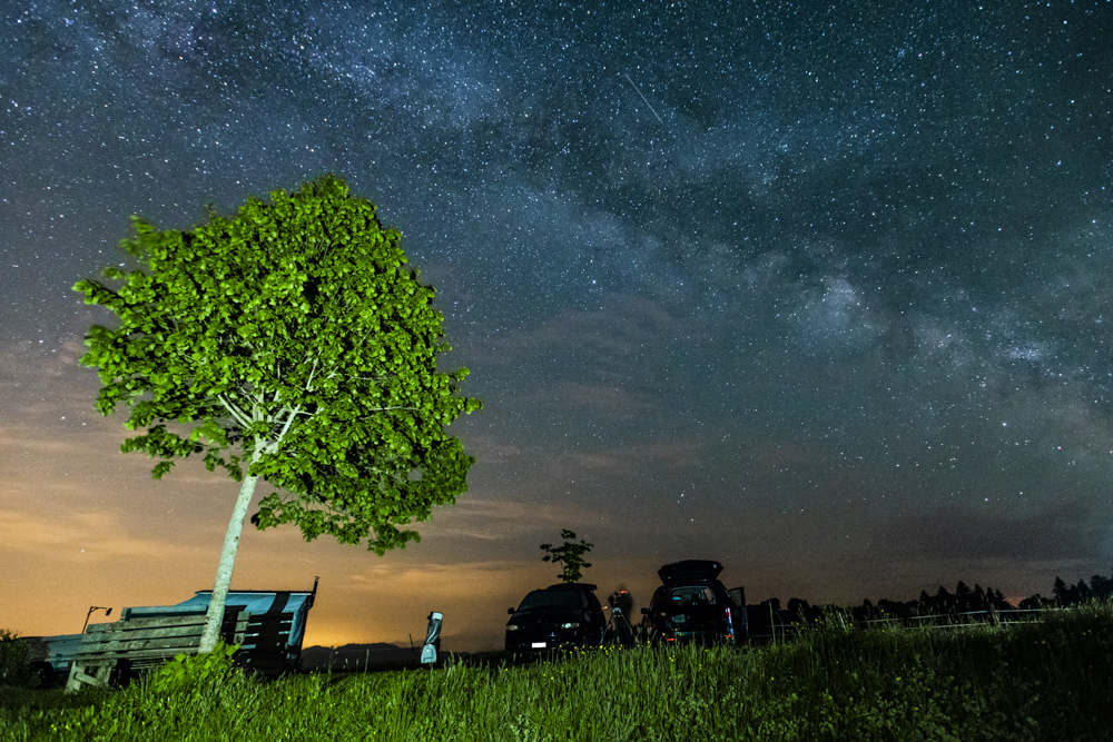 Milky Way above Tree