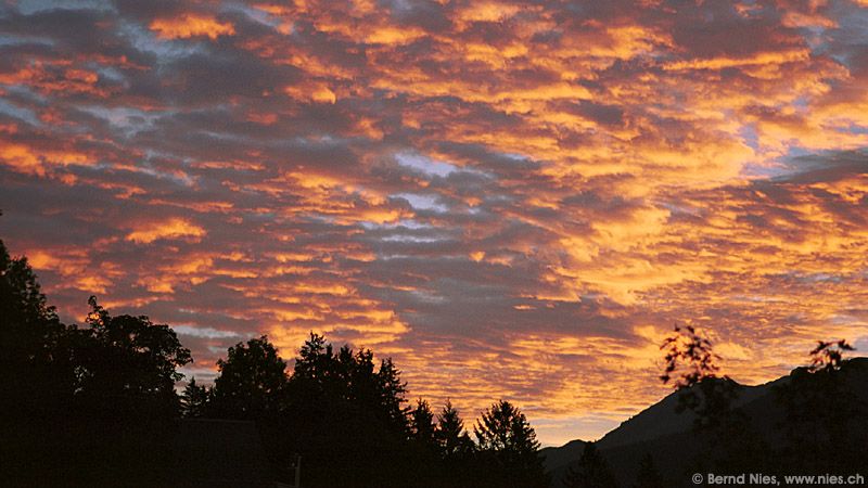 Orange Clouds