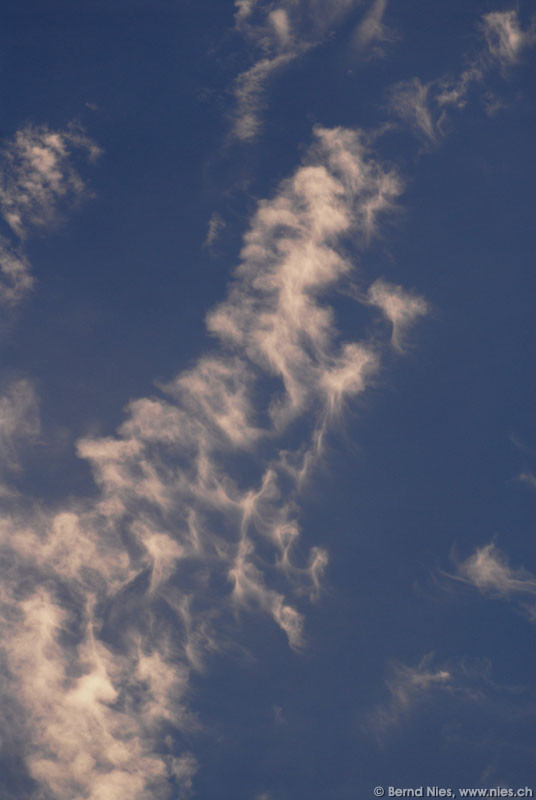 Cirrocumulus